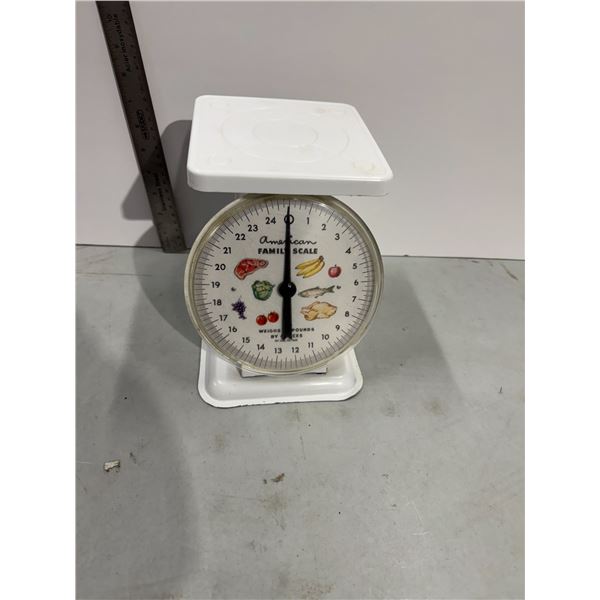American family scale