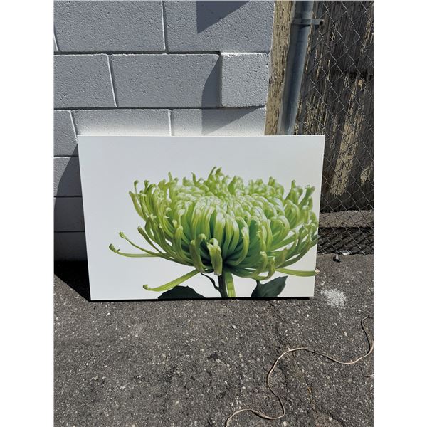 Canvas wall hanging