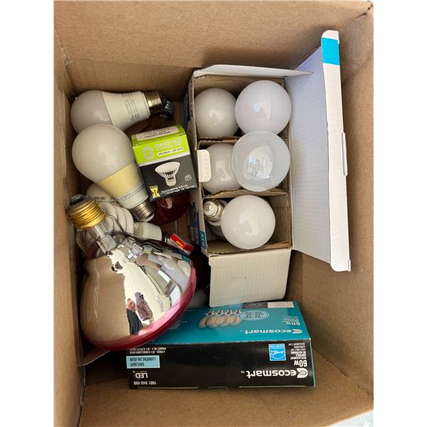 Light bulbs