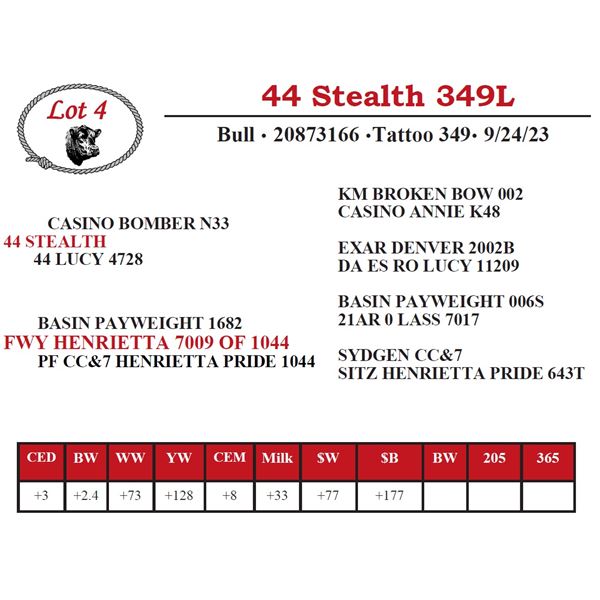 44 Stealth 349L