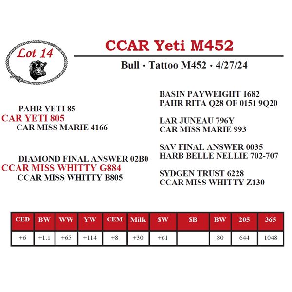 CCAR Yeti M452