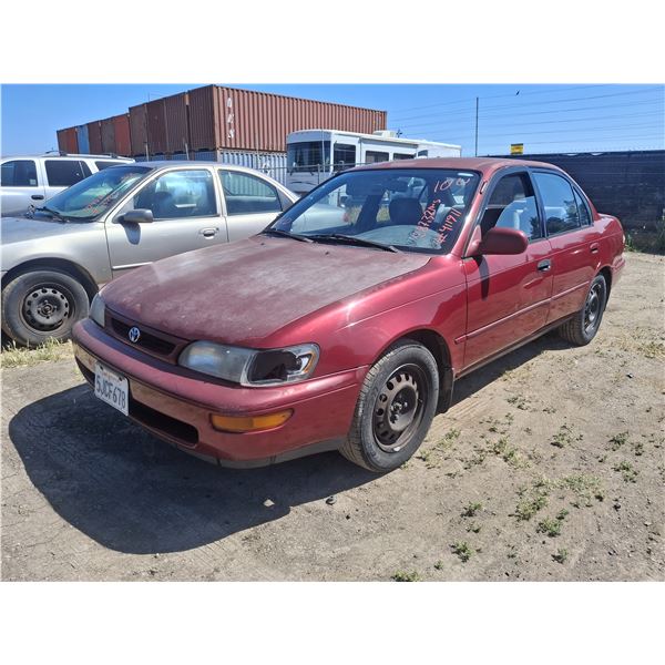 1996 Toyota Corolla
