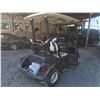 Image 3 : 2022 YAMAHA GOLF CART