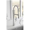 Image 1 : NEW DISPLAY BLANCO RIVANA KITCHEN FAUCET SEMI-PRO