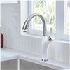 Image 1 : NEW DISPLAY BLANCO ARTONA KITCHEN FAUCET W/