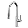 Image 1 : NEW DISPLAY AQUABRASS MARGHERITA PULL DOWN DUAL