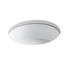 Image 1 : DISPLAY KOHLER VERTICYL 15.75" ROUND UNDERMOUNT