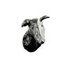 Image 1 : DISPLAY SOKO BY JAYE DESIGN DOMESTIC ANIMALS KNOB