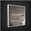 Image 1 : NEW ICO JACKSON 2-DOOR LED MEDICINE CABINET