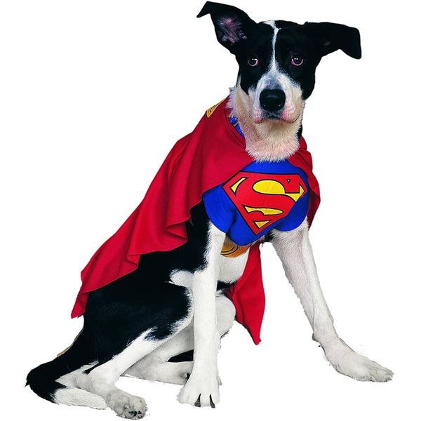 NEW DC SUPERMAN LARGE CLASSIC PET APPAREL