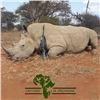 Image 1 : Exportable White Rhino Safari in Limpopo South Africa