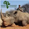 Image 2 : Exportable White Rhino Safari in Limpopo South Africa