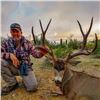 Image 2 : Mexico 5-Day Monster Mule Deer Hunt for One Hunter