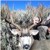 Image 3 : Mexico 5-Day Monster Mule Deer Hunt for One Hunter