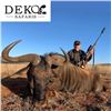 Image 1 : South Africa Blue Wildebeest Hunt for 2 Hunters and 2 Observers