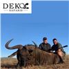 Image 2 : South Africa Blue Wildebeest Hunt for 2 Hunters and 2 Observers
