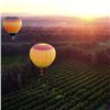 Image 3 : Three Night Stay for Two in Napa Valley with Wine Tastings, Wine Train Ride and Hot Air Balloon Ride