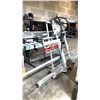 Image 2 : SAFETY SPEED C4 VERTICAL PANEL SAW