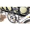 Image 3 : WHITE/BLACK PHOENIX RAINBOW FRONT SUSPENSION MOUNTAIN EBIKE - NO CHARGER