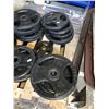 Image 2 : ASSORTED PLATE WEIGHTS 10LBS TO 45LBS