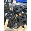 Image 3 : ASSORTED PLATE WEIGHTS 10LBS TO 45LBS