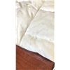 Image 2 : WHITE LARGE LULULEMON JACKET - STAIN PRESENT