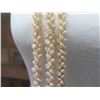 Image 9 : Niihau Shell Lei Kapona Triple Strand 58" Pikake Style w/ COA
