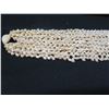 Image 26 : Niihau Shell Lei Momi Lenalena 8-Strand 46" Olepelepe Style w/ COA