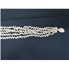 Image 13 : Niihau Shell Lei Momi Lenalena 5-Strand 20" Olepelepe Style w/ COA