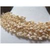 Image 7 : Niihau Shell Lei Momi Lenalena 5-Strand 20" Olepelepe Style w/ COA
