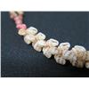 Image 10 : Niihau Shell Lei Kapona Single Strand Momi 17" Pikake Style w/ COA