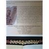 Image 22 : Niihau Shell Lei Kapona Single Strand Momi 17" Pikake Style w/ COA