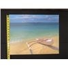 Image 8 : Outrigger Canoe w/ Mokulua Islands Oil on Canvas by Artist Binjim Zhen, School of Daniel Kim Hawaii,