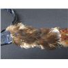 Image 10 : Hand-Sewn Hawaiian Pheasant Feather Hatband Lei 22" x 1.5"W (Hat Not Included)