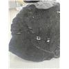 Image 5 : 3.78 BLACK ROUGH SHUNGHITE