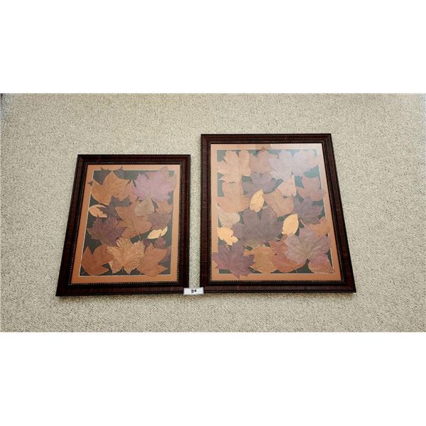 2 Framed Botanical Art featuring Pressed Maple Leaves