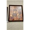 Image 3 : 2 Framed Botanical Art featuring Pressed Maple Leaves