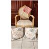 Image 1 : Arm Chair, Decorative Pillows & Shawl/Blanket