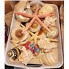Image 3 : Kraft Boxes, Decorative Shells, Sparkles, Flowers, Beads, Shells