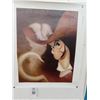 Image 1 : Unframed Disney Captain Hook Artist Signed 90/195