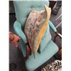 Image 1 : Tufted Mahogany Trim Armchair (Leg Needs Repair)