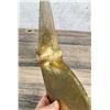 Image 3 : Brass Propeller