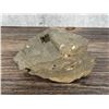 Image 1 : Herkimer Diamond in Matrix New York Specimen