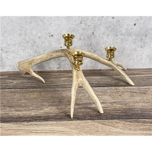 Montana Mule Deer Horn Candelabra