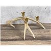 Image 1 : Montana Mule Deer Horn Candelabra