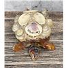Image 4 : Ulcinj Montenegro Souvenir Sea Shell Turtle Nodder