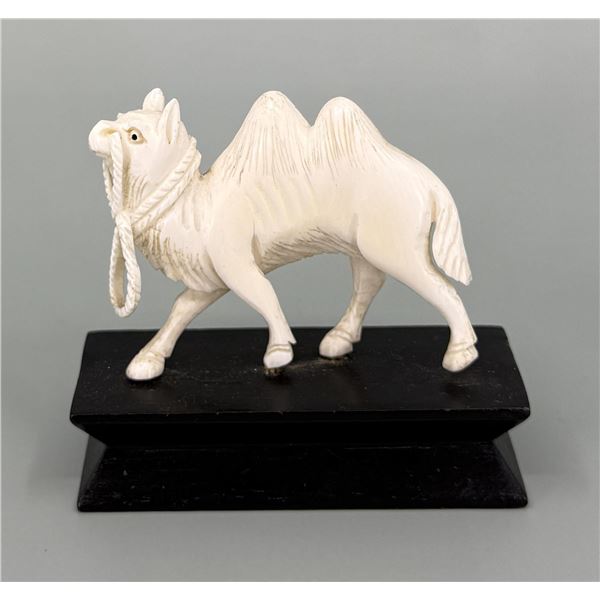 Camel Montana Residents Only