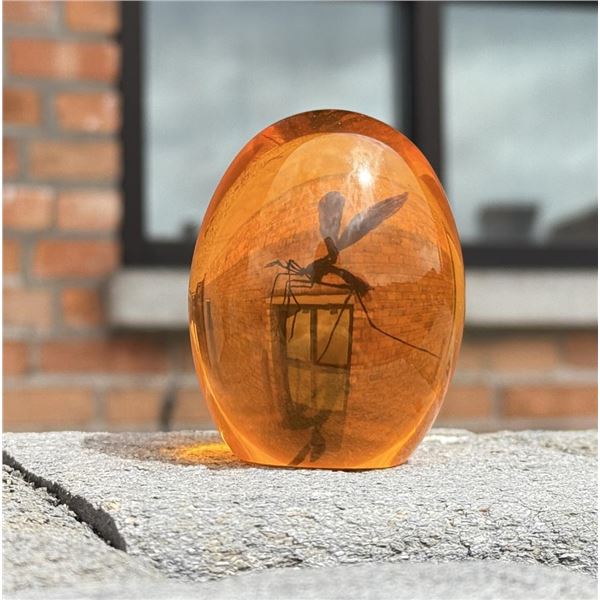 Surreal Jurassic Park Mosquito in Amber