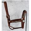 Image 3 : Mac Pherson Los Angeles Show Halter