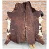 Image 1 : Antique Montana Ranch Cowhide Rug